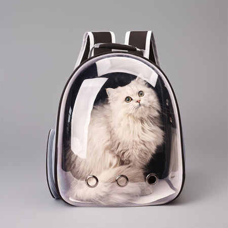 Cats Bag & Careers