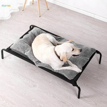 Pet Bed & Bedding