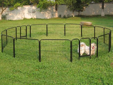 Pet Fence's