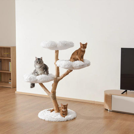 Cat Trees