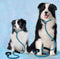 Dog Leash  with Comfortable Padded Handle