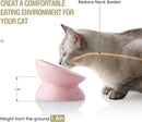 Sweejar Ceramic Raised Cat Bowls, Slanted Cat Dish Food or Water Bowls, Elevated Porcelain Pet Feeder Bowl Protect Cat's Spine, Stress Free, Backflow Prevention