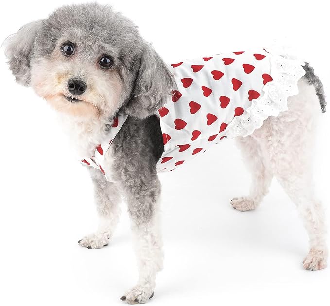 Love Heart Pattern Dog Girls Dresses for Small Dogs