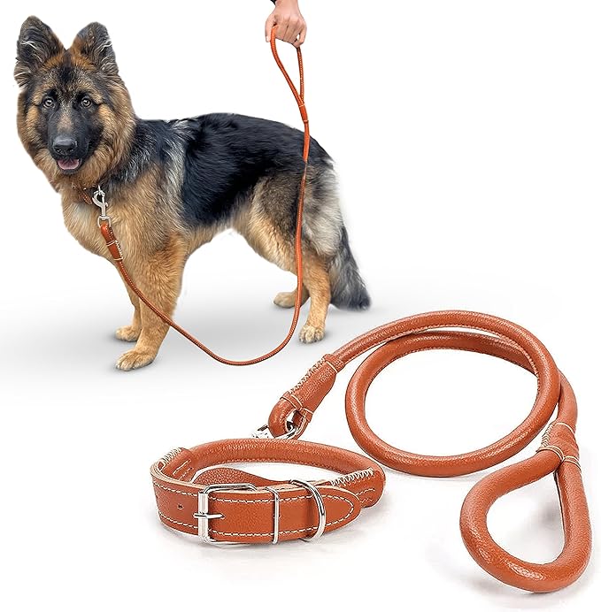 Dog Leash and Collar Set. Walk Your Dog in Style with a Matching Soft Leather Leash and Adjustable Dog Collar Set!