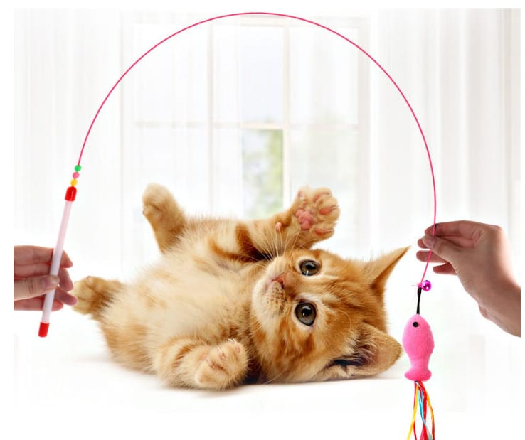 cat toy  Provides Mental and Physical Stimulation for Cats