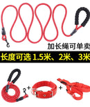 Dog Leash  with Comfortable Padded Handle