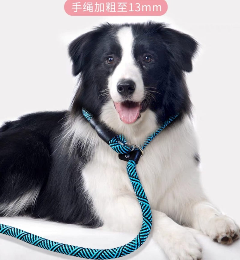 Dog Leash  with Comfortable Padded Handle